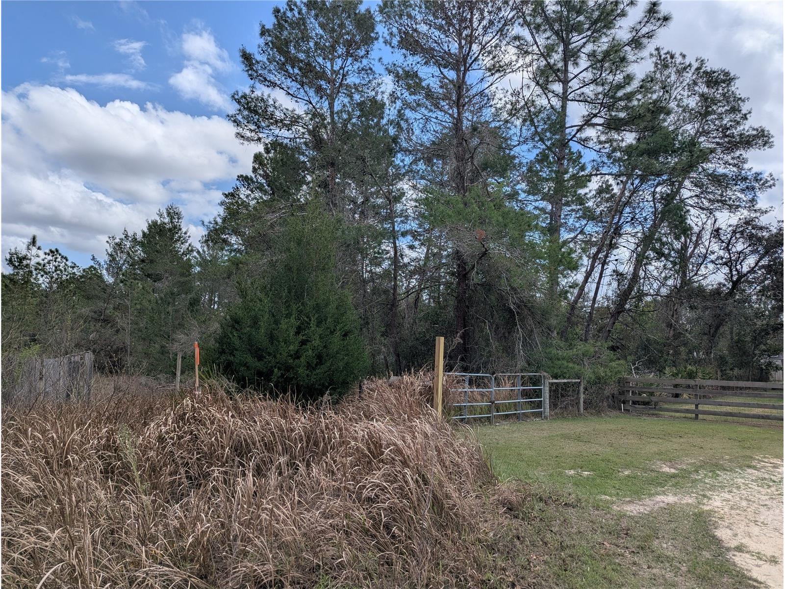 0 Gannet Avenue Weeki Wachee FL 34613 TB8486007 image4