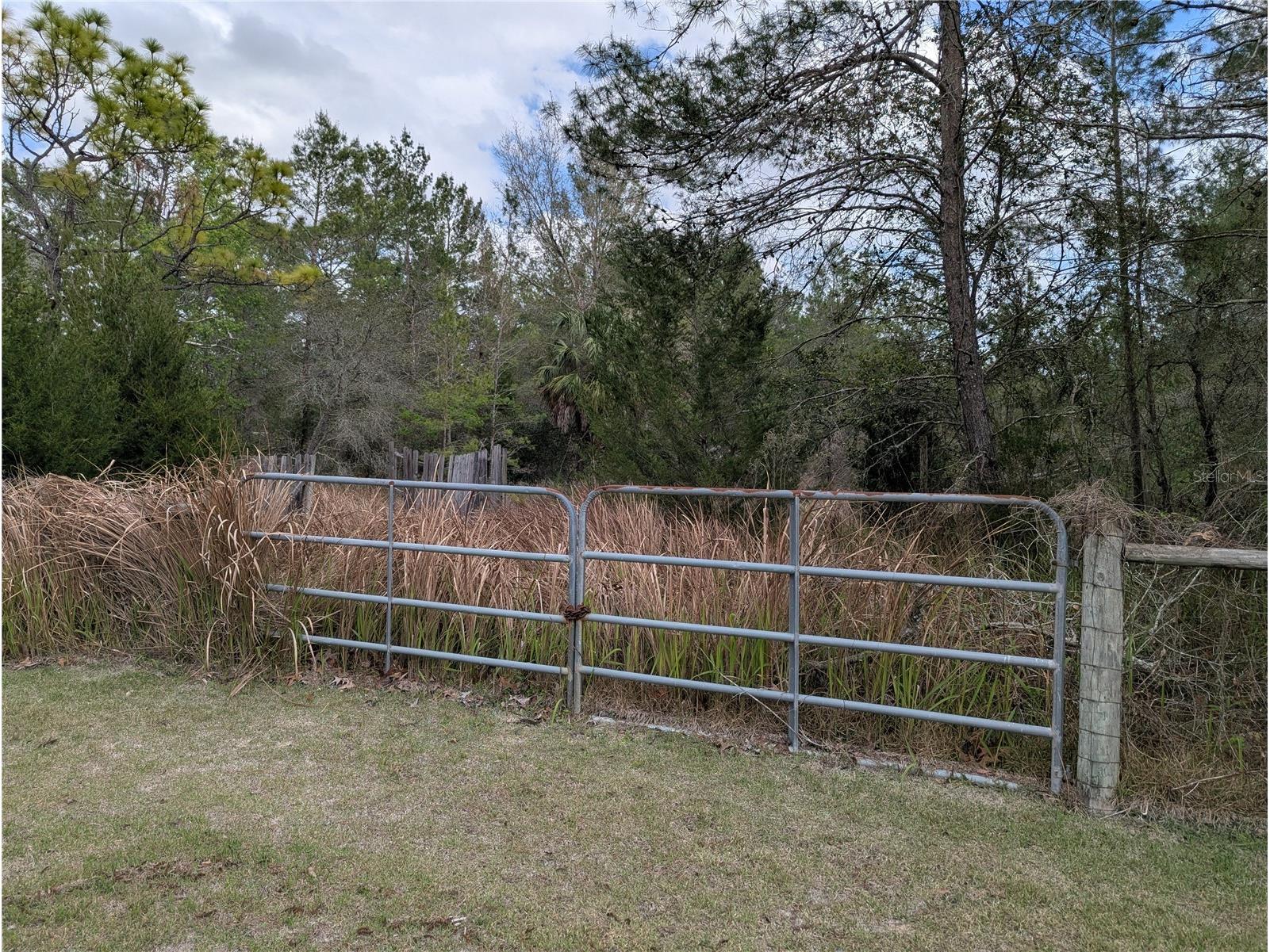 0 Gannet Avenue Weeki Wachee FL 34613 TB8486007 image5