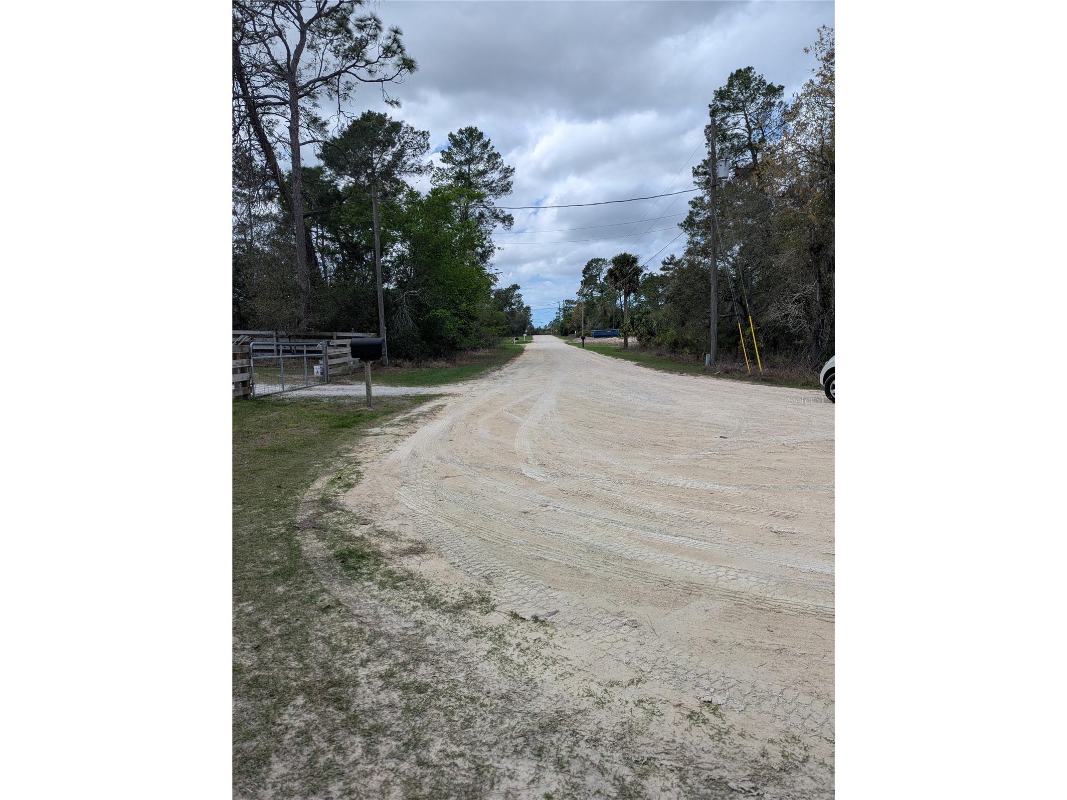 0 Gannet Avenue Weeki Wachee FL 34613 TB8486007 image7