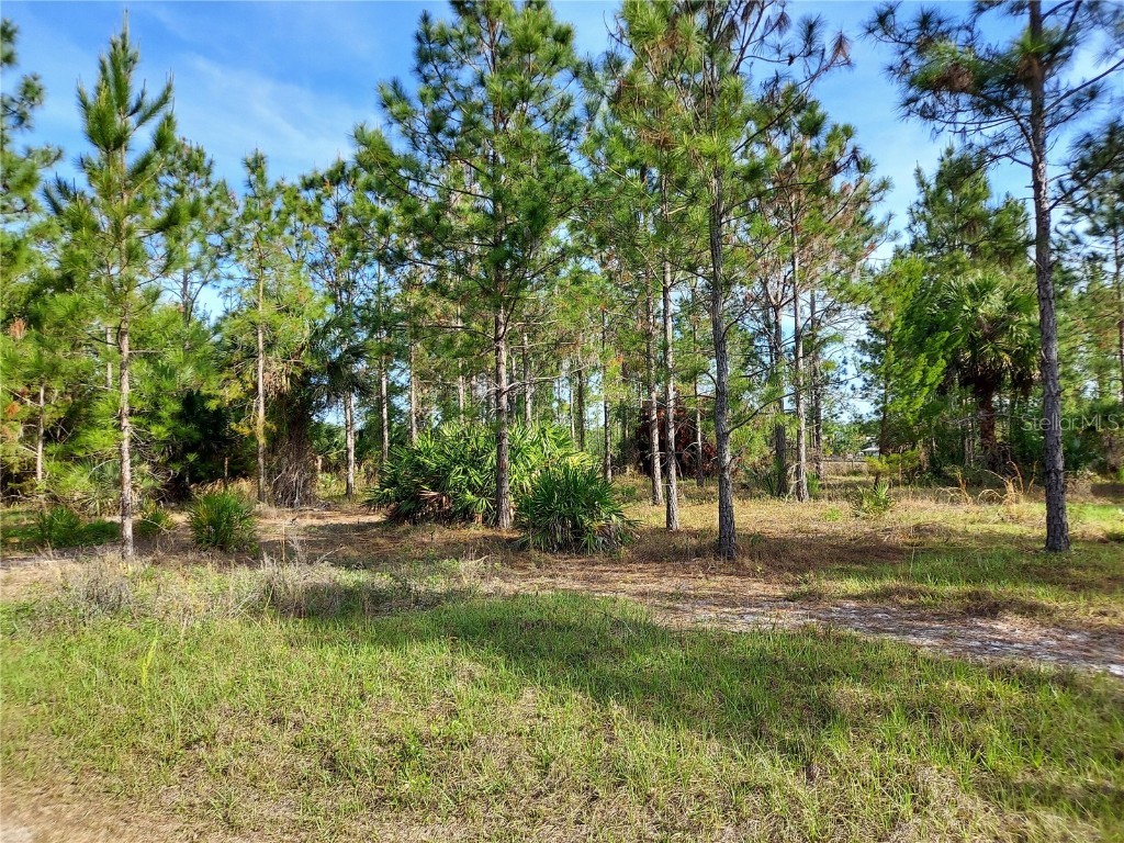 0 Geneva Woods Cove Geneva FL 32732 O6102432 image1