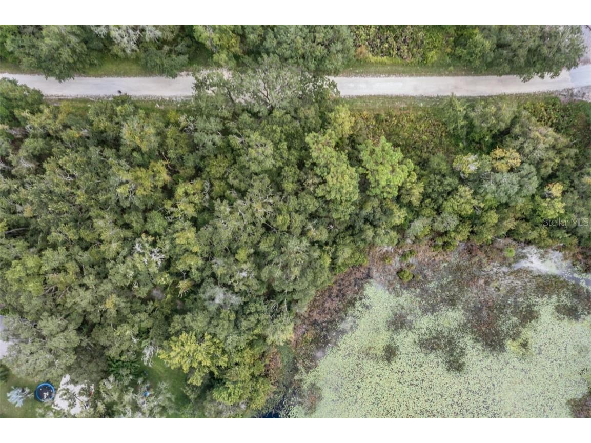 0 Giddens Road Spring Hill FL 34610 TB8424460 image6