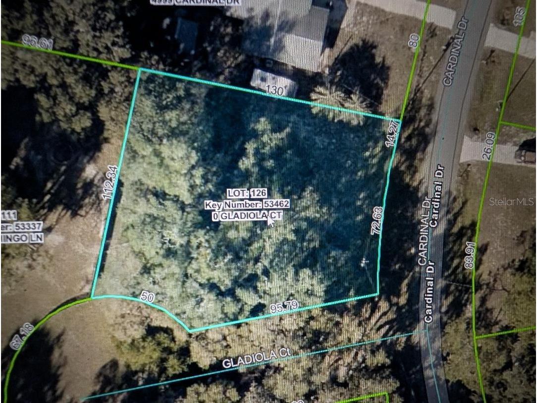 0 Gladiola Court Dade City FL 33523 TB8471218 image2