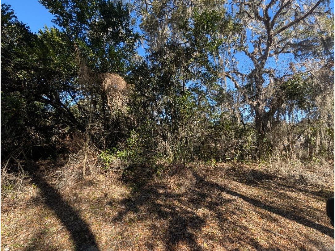 0 Gladiola Court Dade City FL 33523 TB8471218 image3