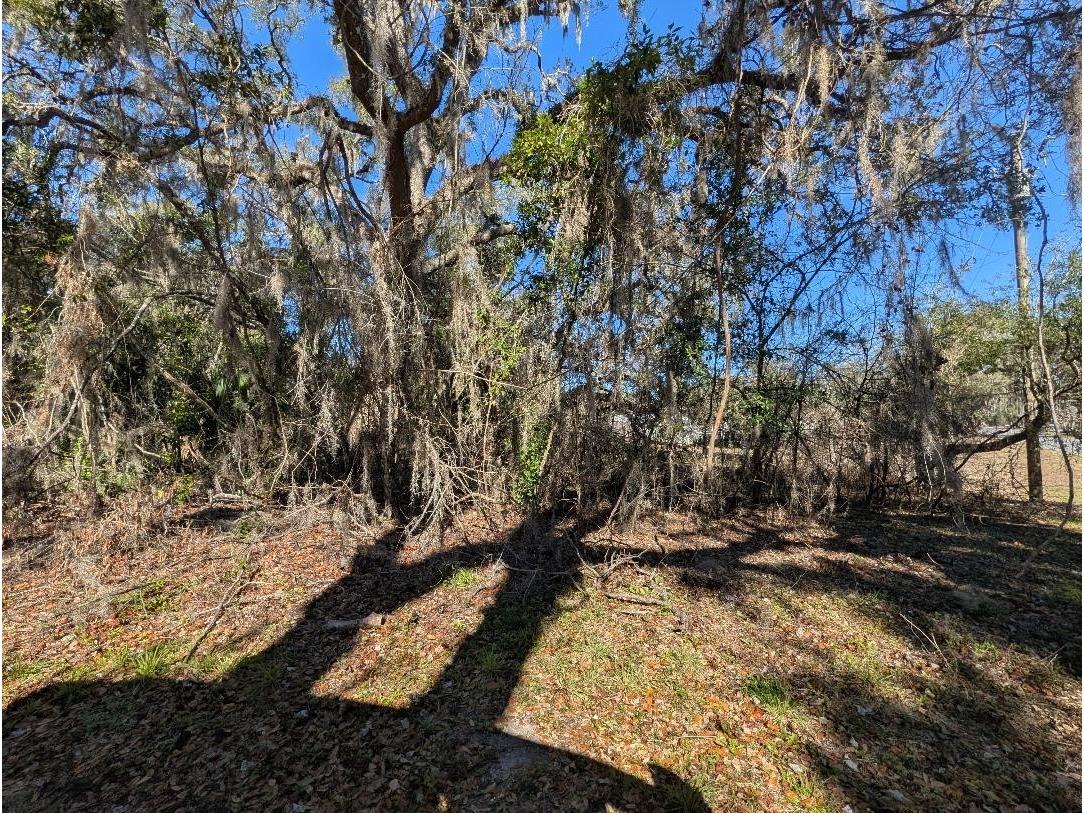 0 Gladiola Court Dade City FL 33523 TB8471218 image5