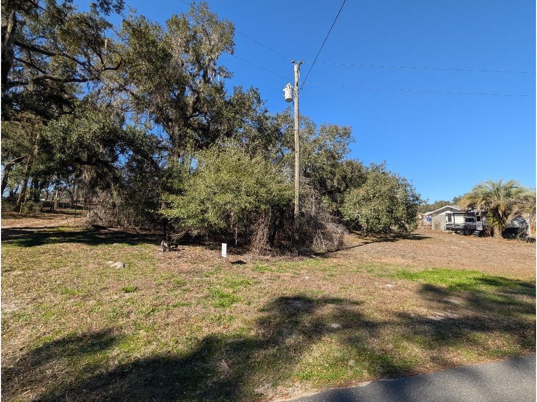 0 Gladiola Court Dade City FL 33523 TB8471218 image6