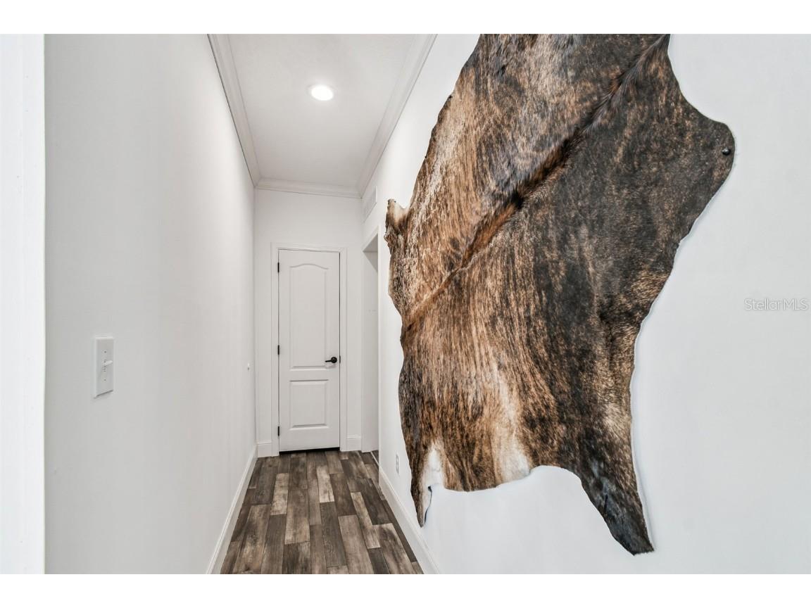 0 Gladwin Avenue Hudson FL 34667 TB8448550 image32