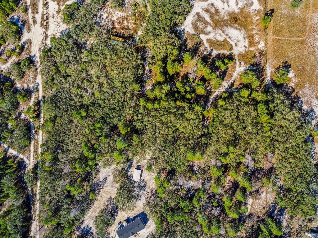 0 Gladwin Avenue Hudson FL 34667 TB8448550 image9