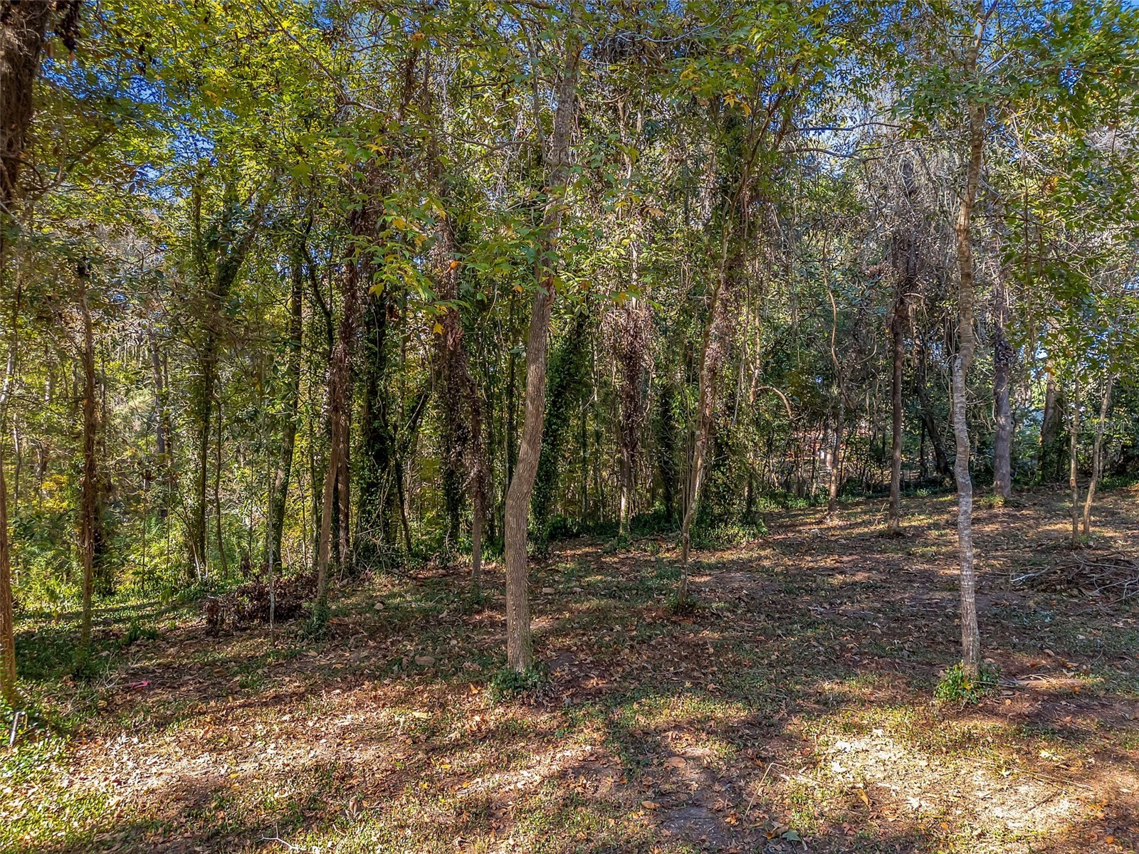 0 Glennis Court Tallahassee FL 32303 GC538198 image1