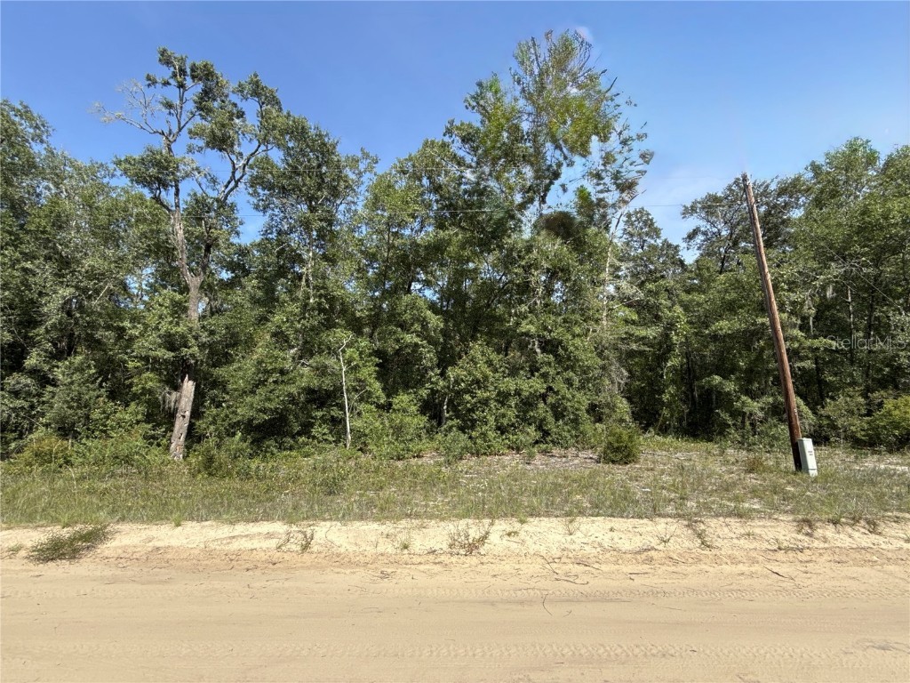 0 Gloria Avenue Interlachen FL 32148 TB8422369 image1