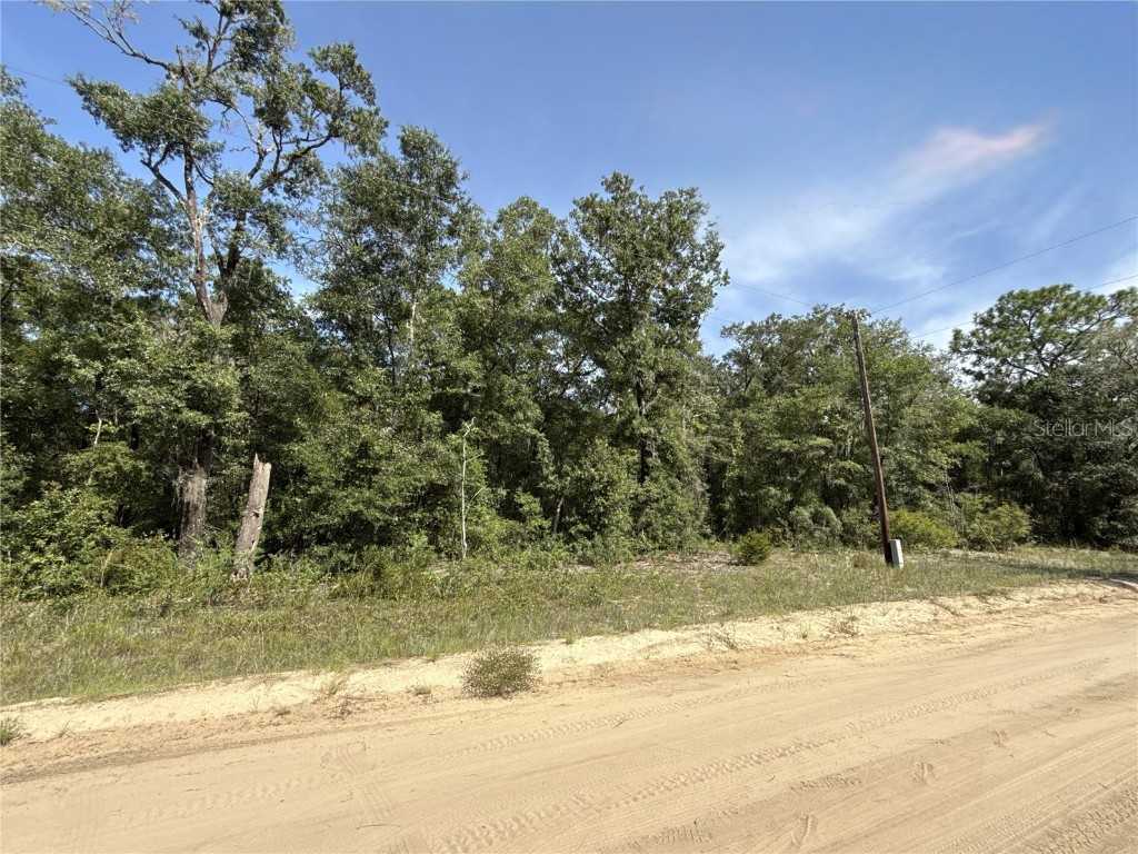 0 Gloria Avenue Interlachen FL 32148 TB8422369 image2