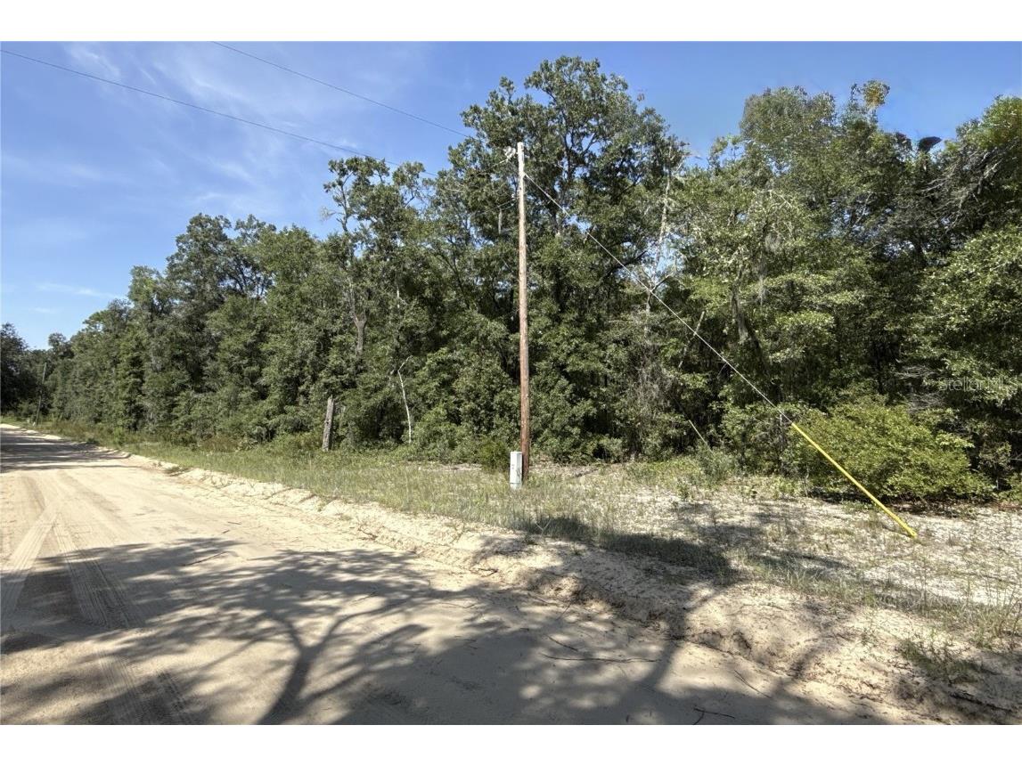 0 Gloria Avenue Interlachen FL 32148 TB8422369 image3