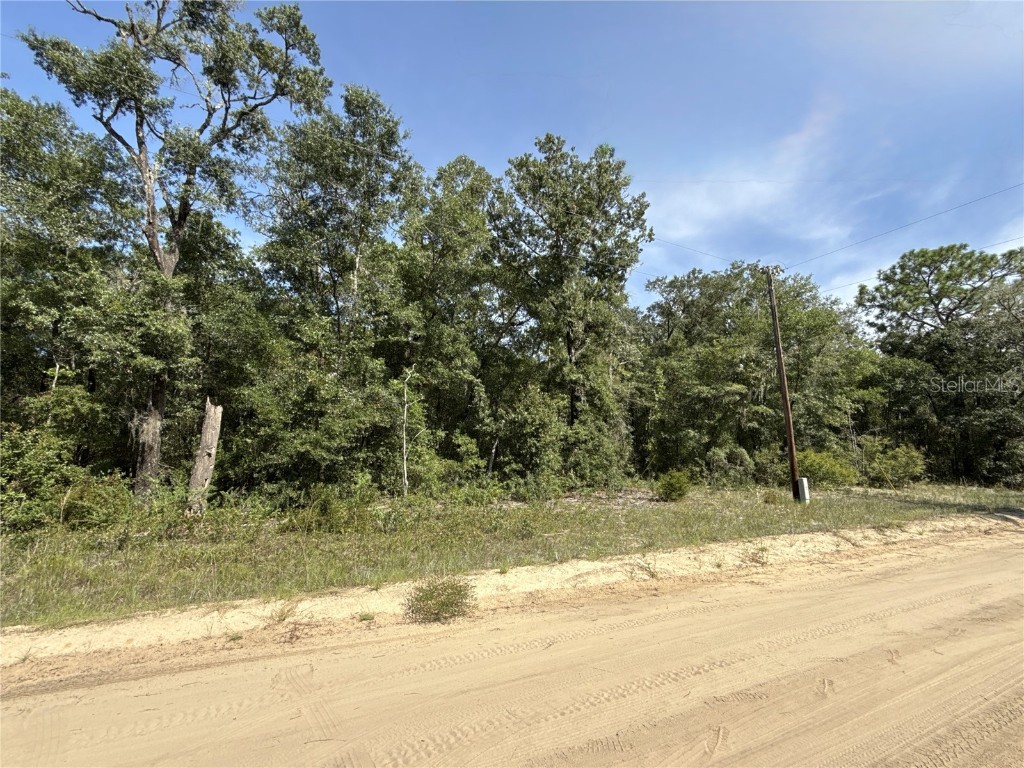 0 Gloria Avenue Interlachen FL 32148 TB8422369 image4