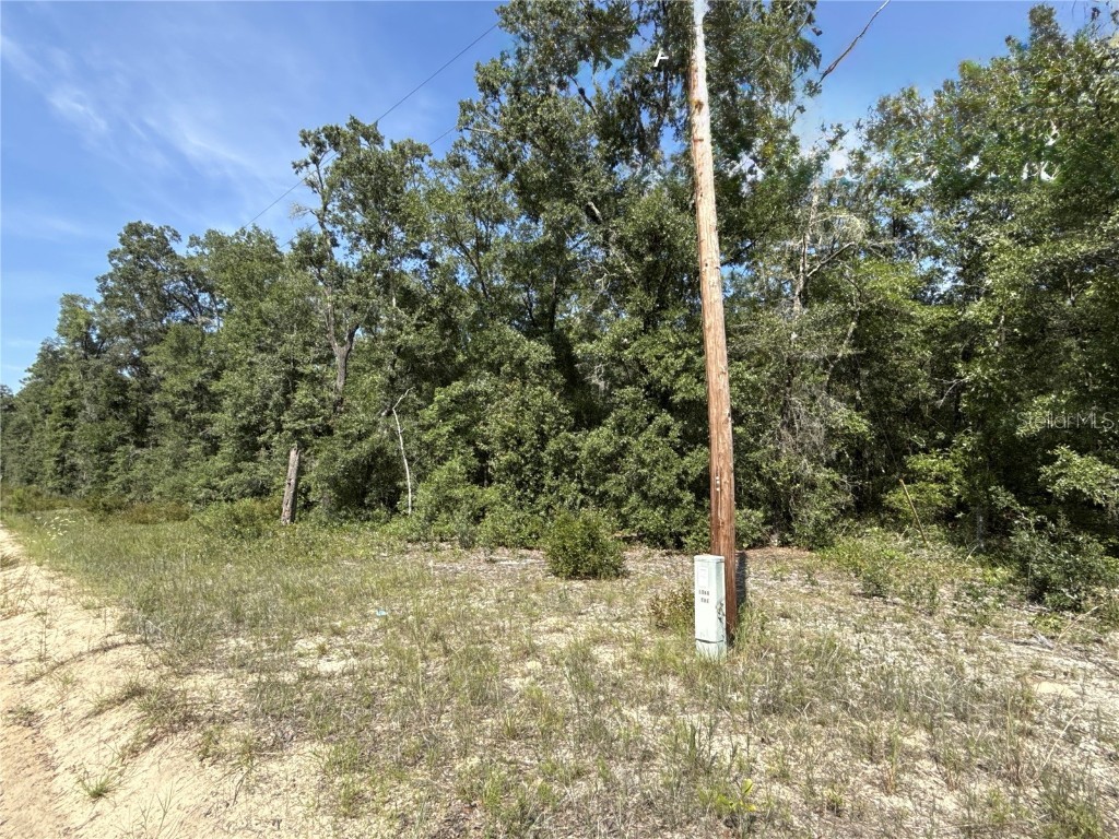 0 Gloria Avenue Interlachen FL 32148 TB8422369 image5