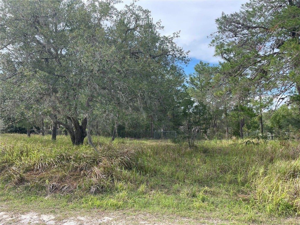 0 Golden Avenue Weeki Wachee FL 34613 W7855673 image1