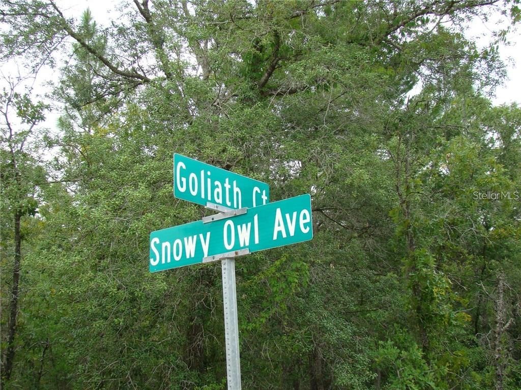 0 Goliath Court Weeki Wachee FL 34614 W7885912 image2