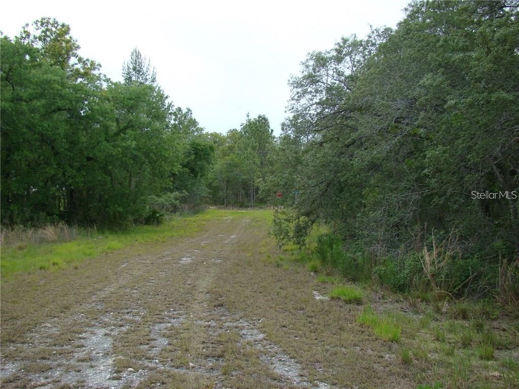 0 Goliath Court Weeki Wachee FL 34614 W7885912 image4