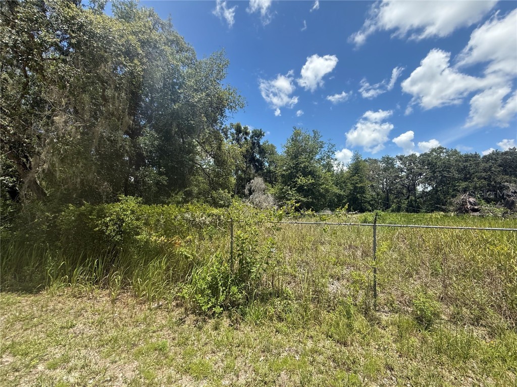 0 Goolsby Street Webster FL 33597 TB8403575 image10