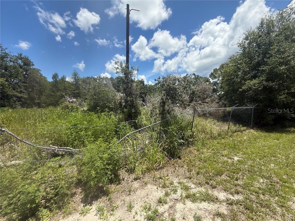 0 Goolsby Street Webster FL 33597 TB8403575 image12