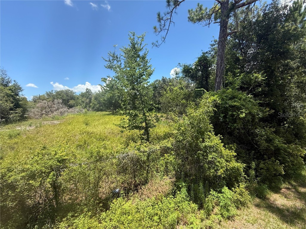 0 Goolsby Street Webster FL 33597 TB8403575 image2