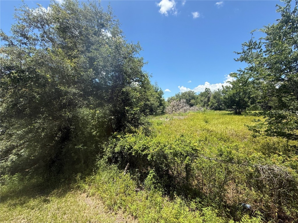 0 Goolsby Street Webster FL 33597 TB8403575 image3