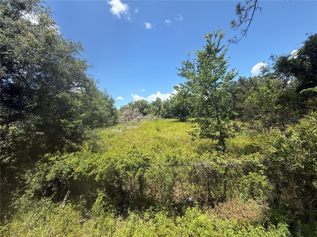 0 Goolsby Street Webster FL 33597 TB8403575 image4