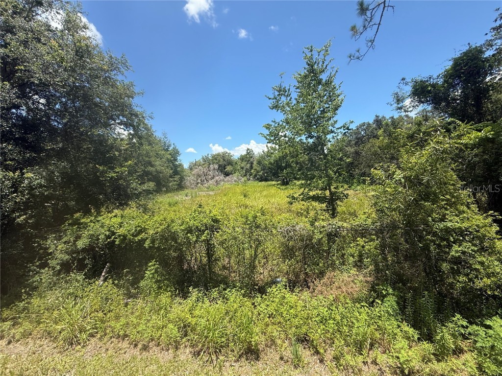 0 Goolsby Street Webster FL 33597 TB8403575 image5