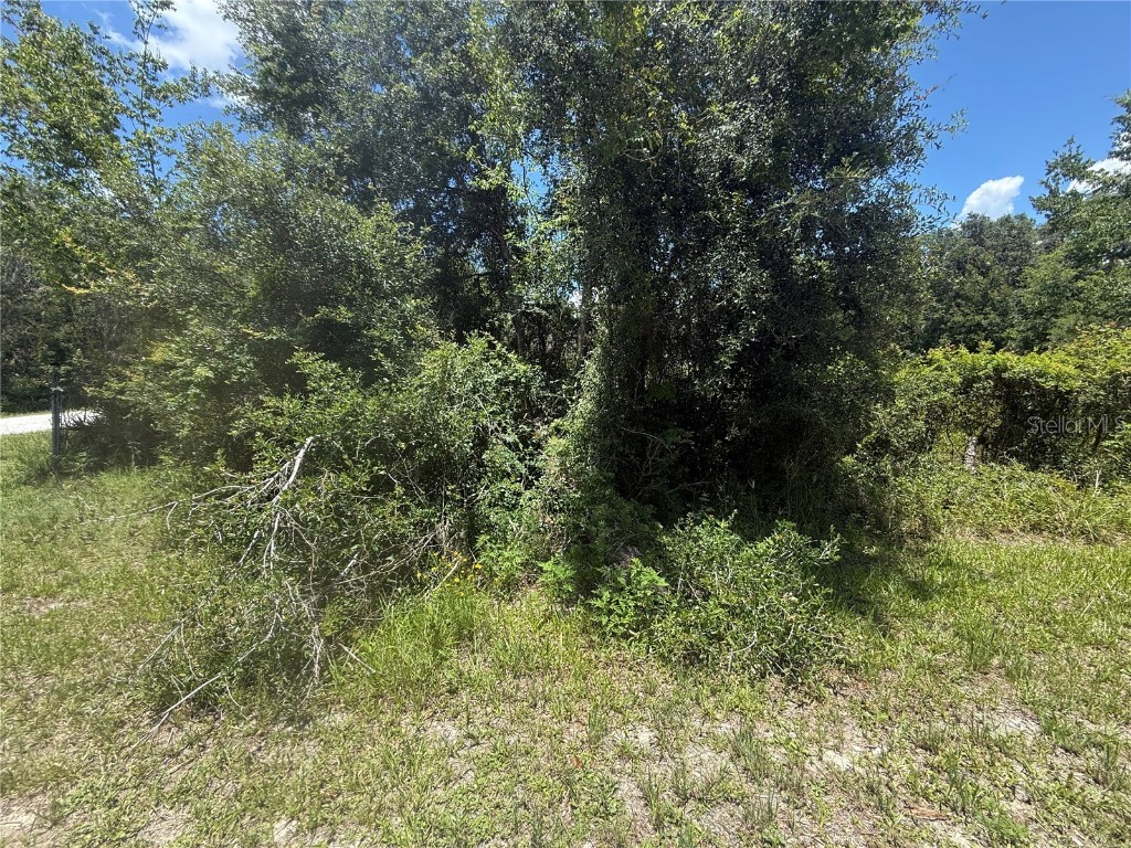 0 Goolsby Street Webster FL 33597 TB8403575 image6