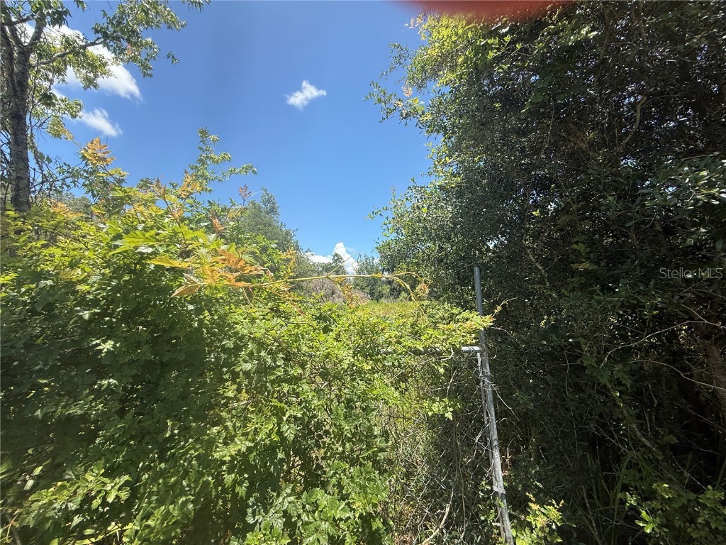 0 Goolsby Street Webster FL 33597 TB8403575 image7