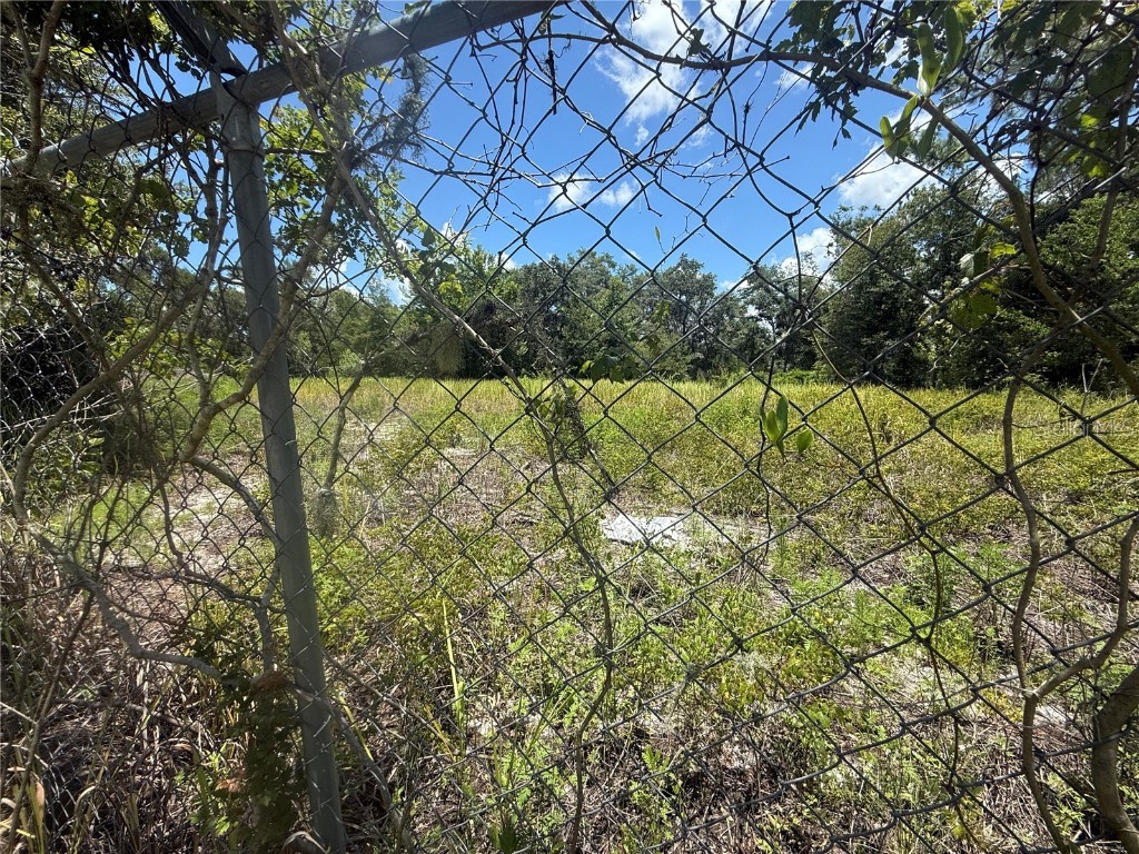 0 Goolsby Street Webster FL 33597 TB8403575 image8