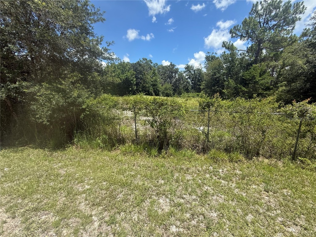 0 Goolsby Street Webster FL 33597 TB8403575 image9