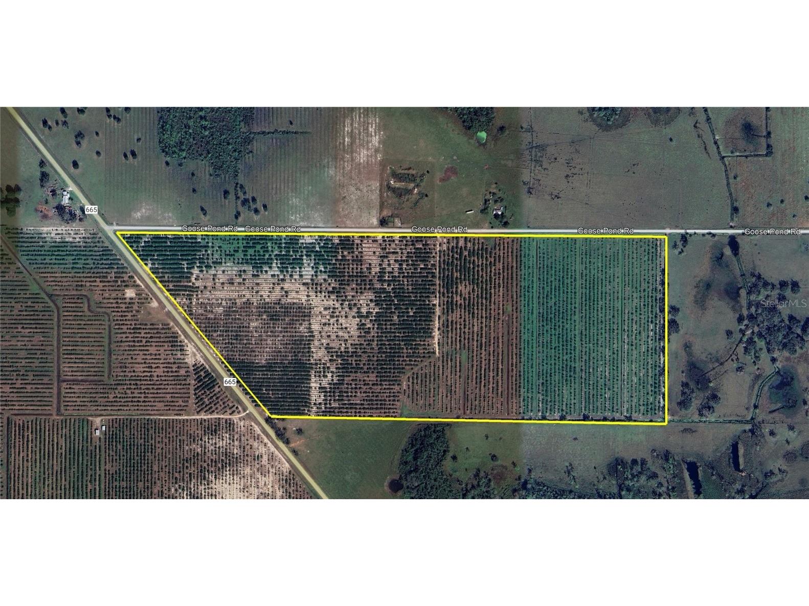 0 Goose Pond Road Ona FL 33865 C7513666 image1