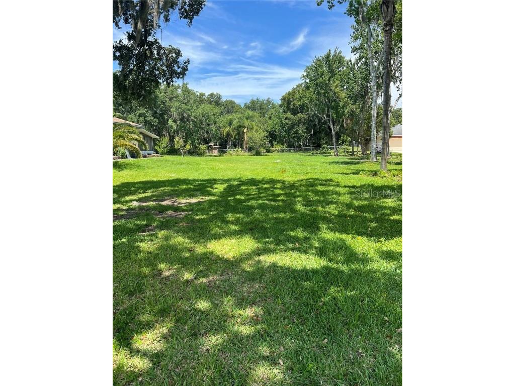 0 Grape Avenue Saint Cloud FL 34769 S5138576 image2