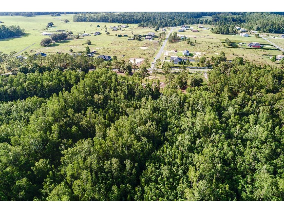 0 Green Pond Road Polk City FL 33868 L4953718 image6