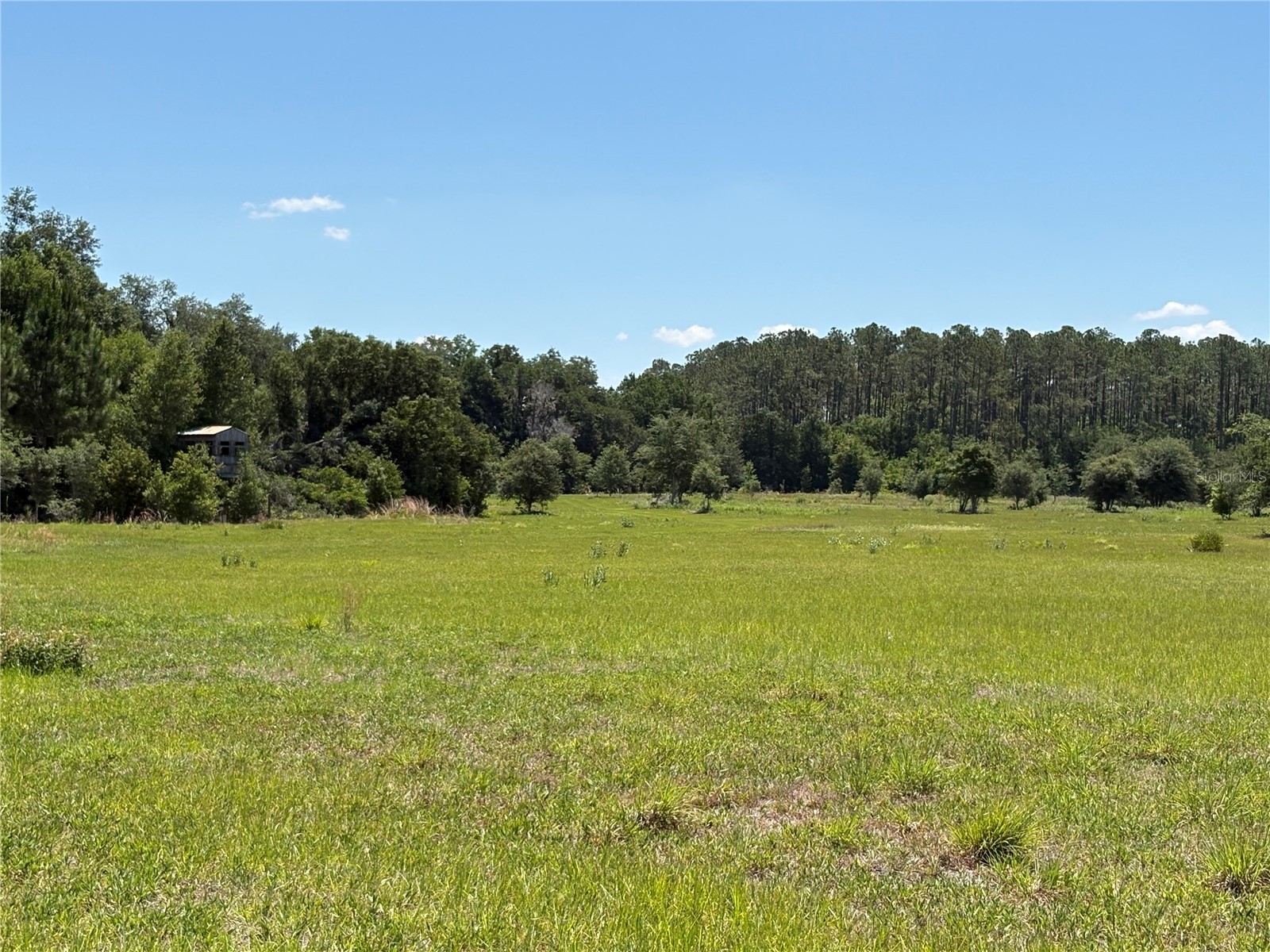 0 Greenbriar Road Lakeland FL 33810 L4961509 image1