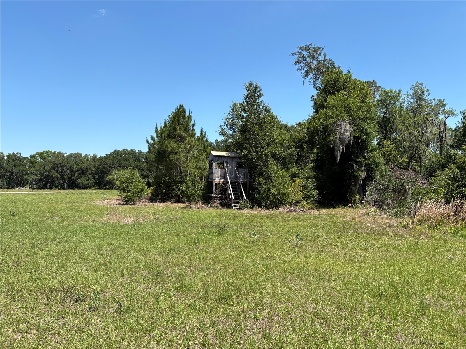 0 Greenbriar Road Lakeland FL 33810 L4961509 image20