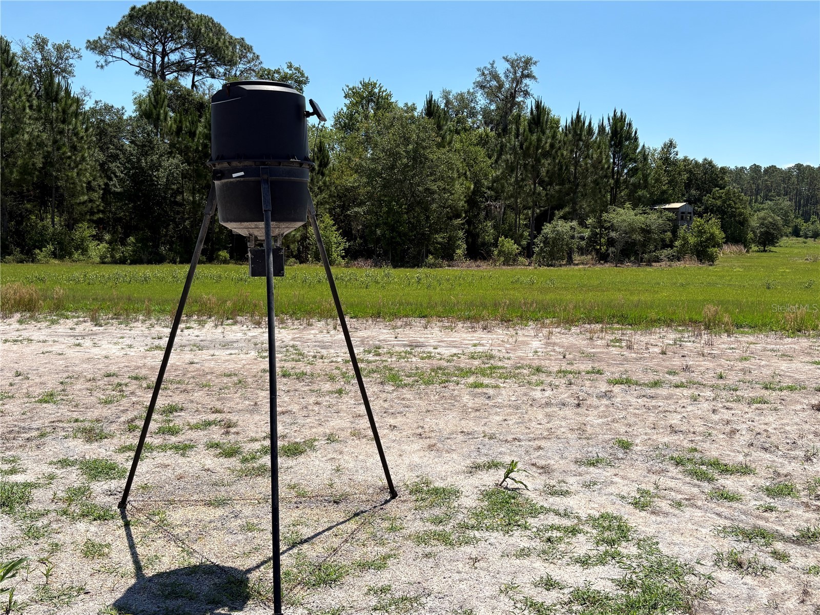 0 Greenbriar Road Lakeland FL 33810 L4961509 image21
