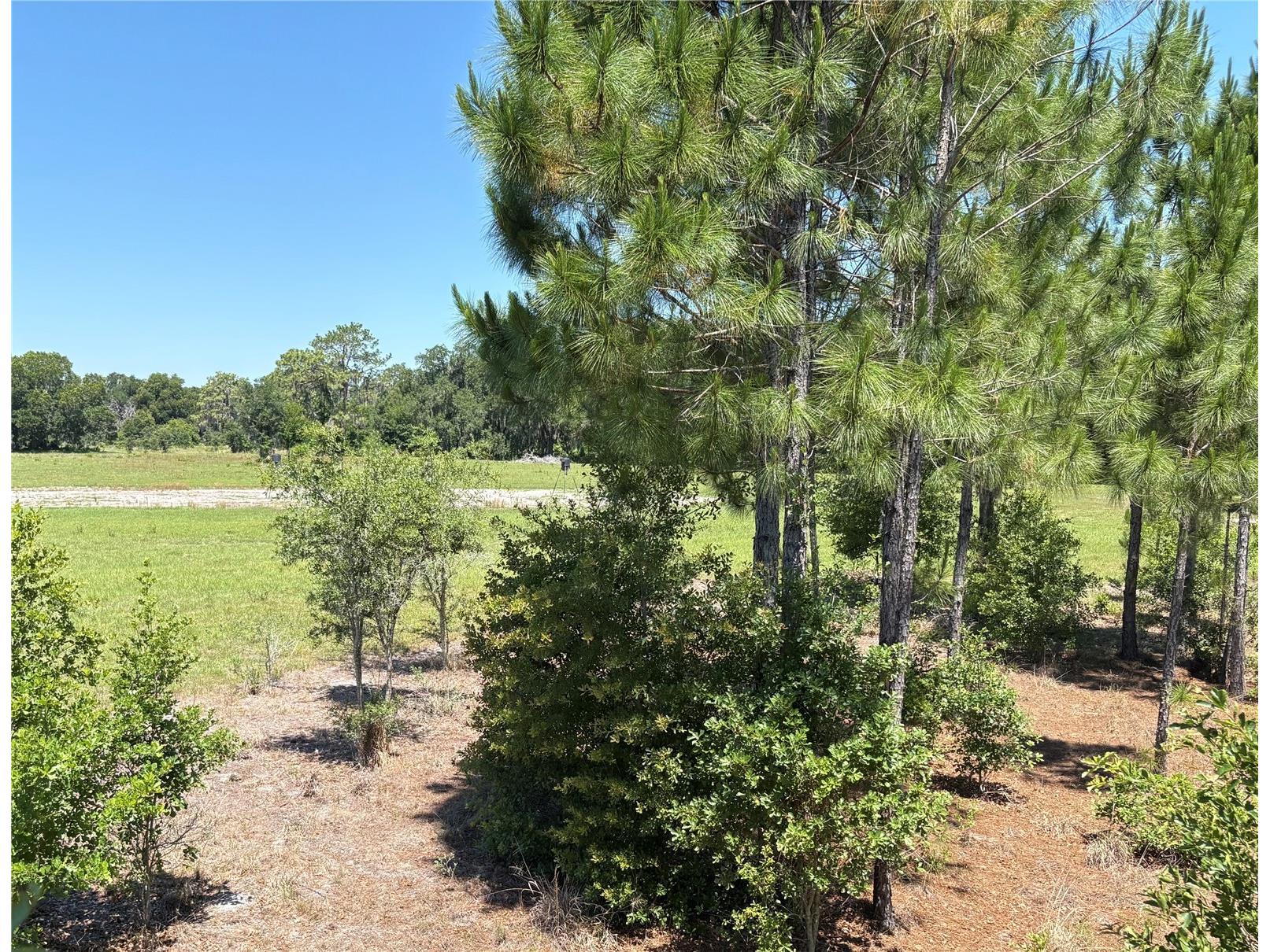 0 Greenbriar Road Lakeland FL 33810 L4961509 image23
