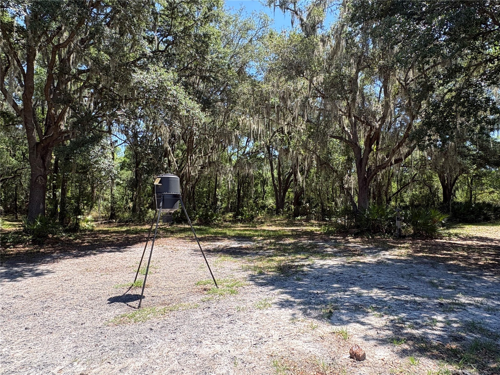 0 Greenbriar Road Lakeland FL 33810 L4961509 image24