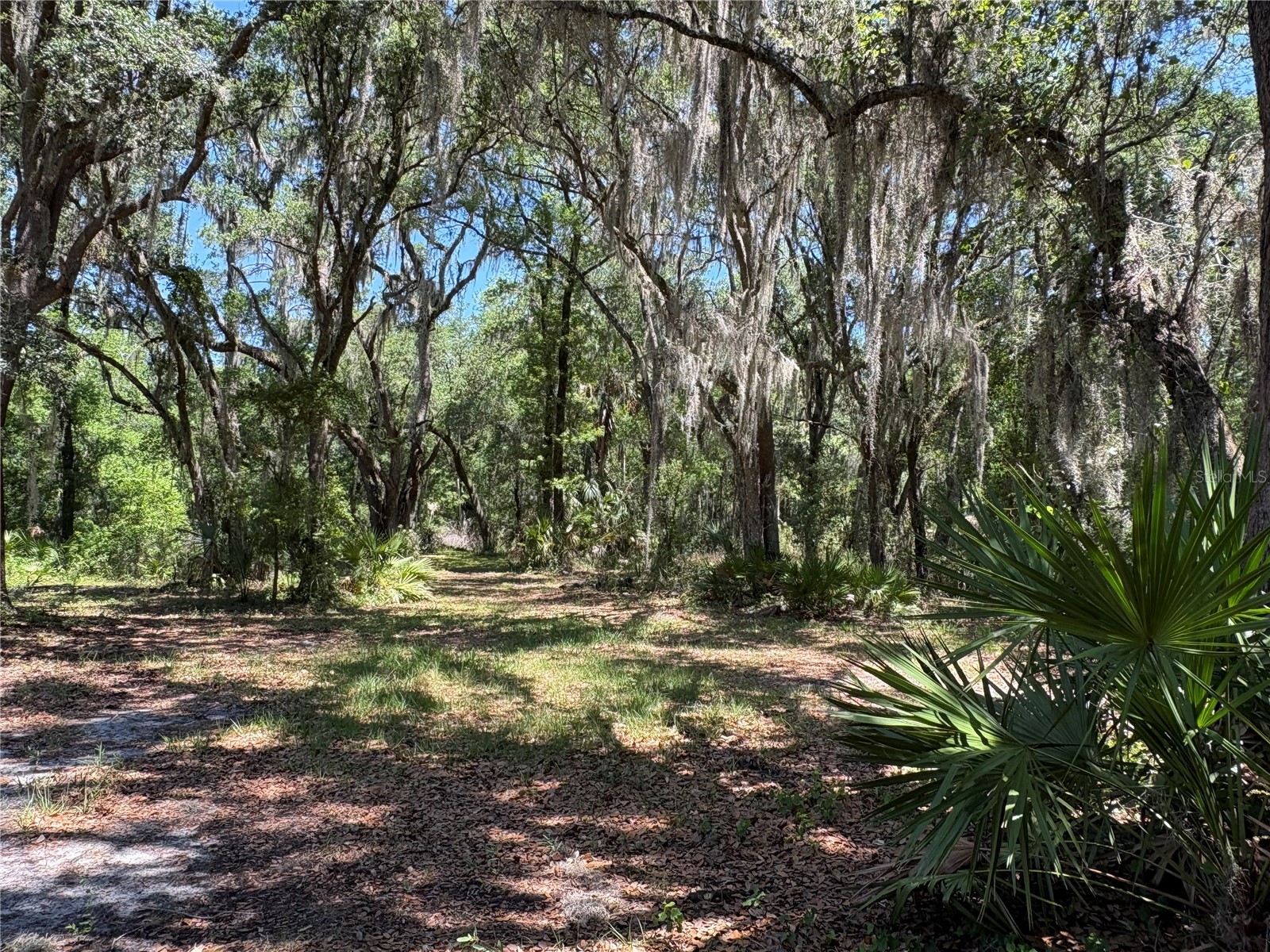 0 Greenbriar Road Lakeland FL 33810 L4961509 image25