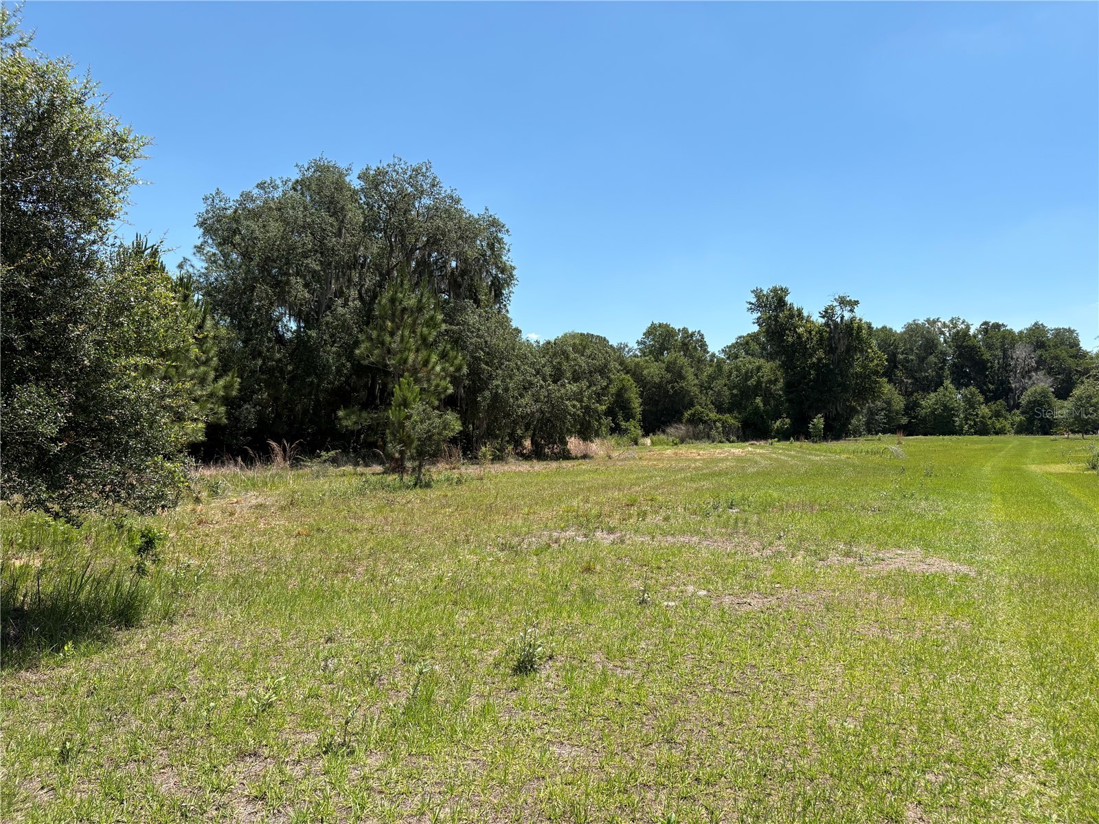 0 Greenbriar Road Lakeland FL 33810 L4961509 image26