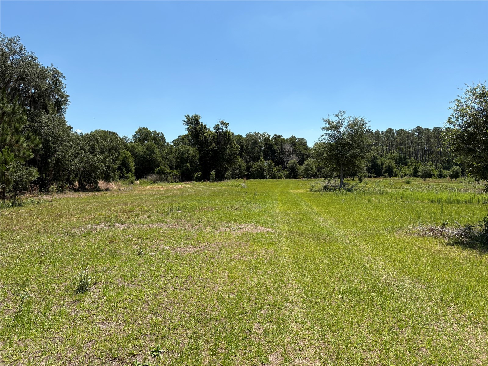 0 Greenbriar Road Lakeland FL 33810 L4961509 image27
