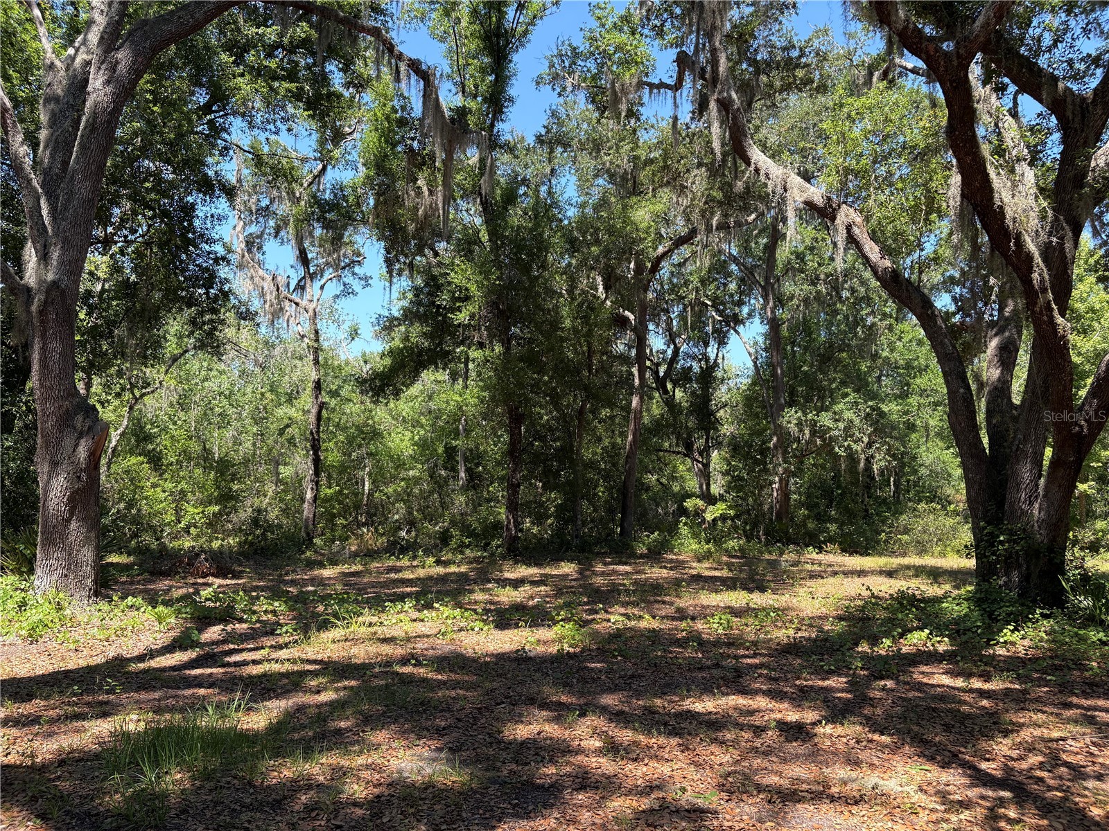 0 Greenbriar Road Lakeland FL 33810 L4961509 image5