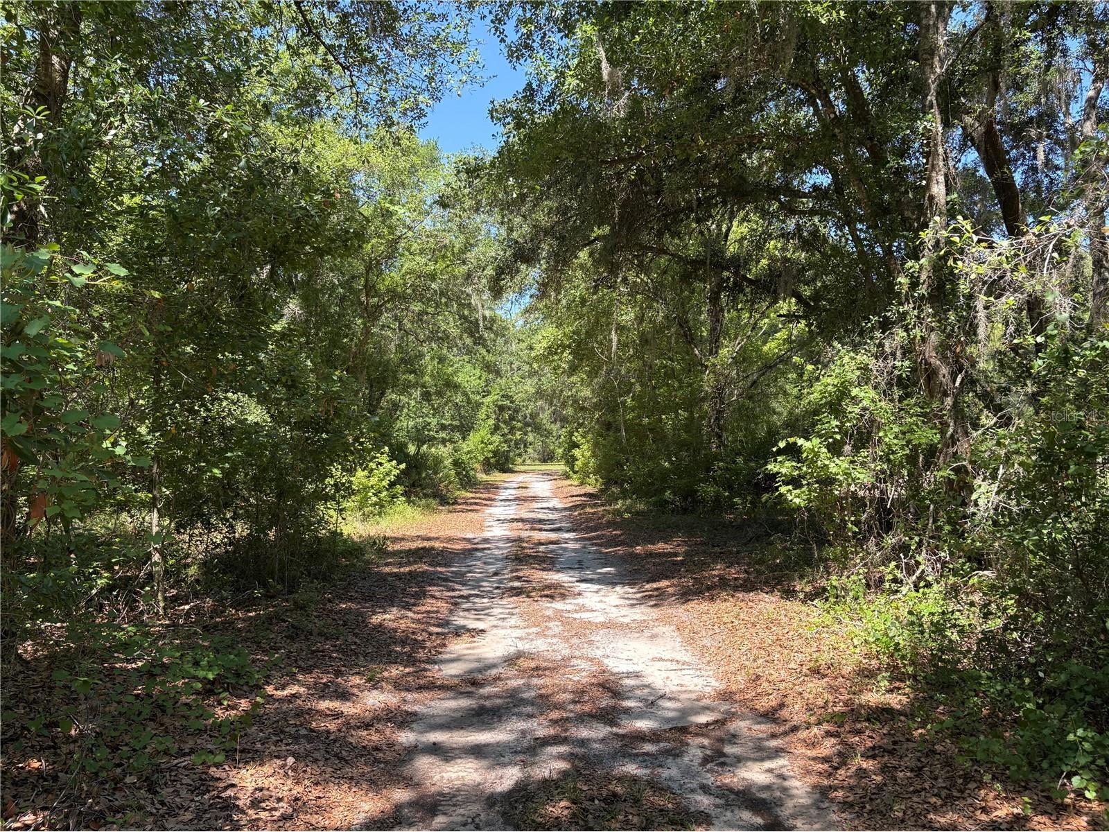 0 Greenbriar Road Lakeland FL 33810 L4961509 image7