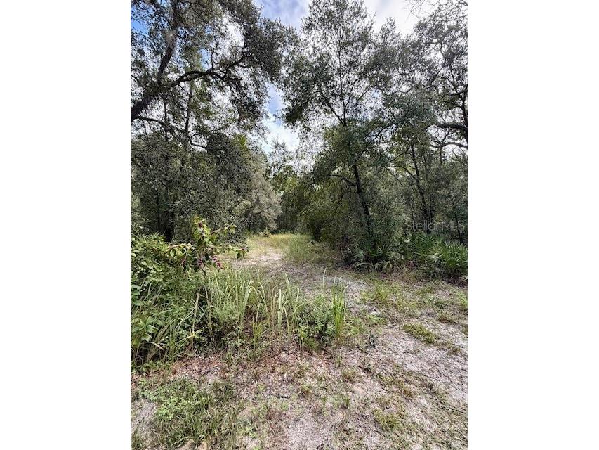 0 Gresham Road Webster FL 33597 W7879404 image11