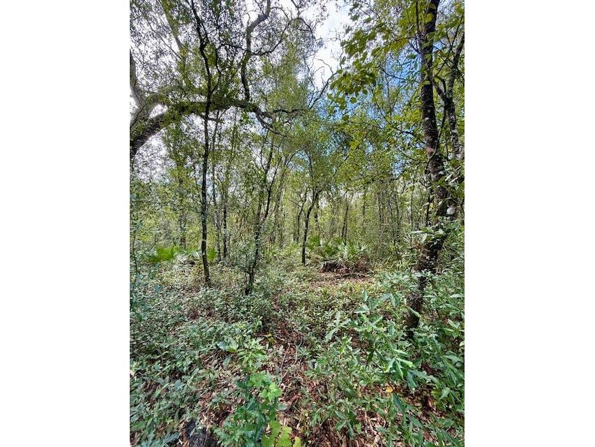 0 Gresham Road Webster FL 33597 W7879404 image12