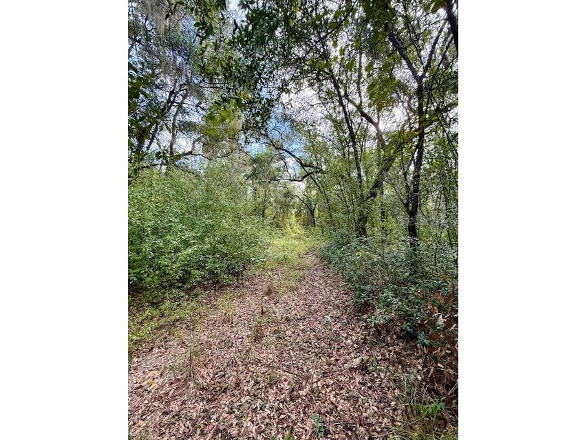 0 Gresham Road Webster FL 33597 W7879404 image13