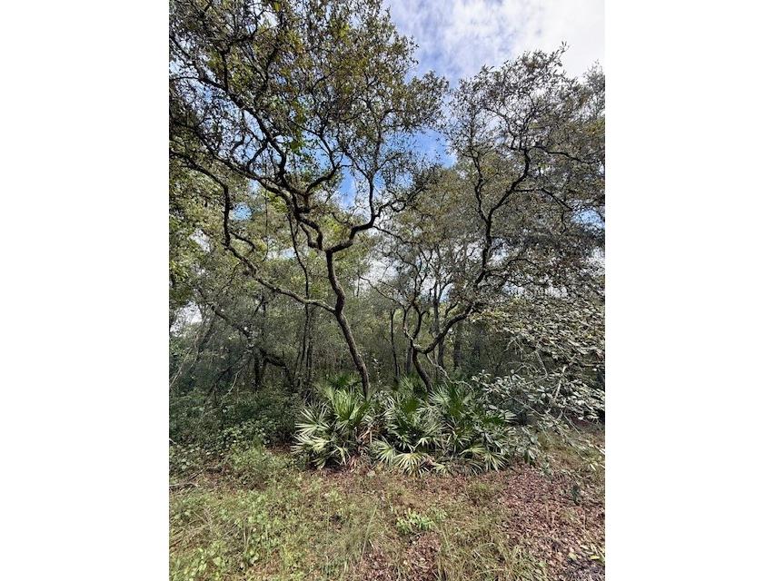 0 Gresham Road Webster FL 33597 W7879404 image14