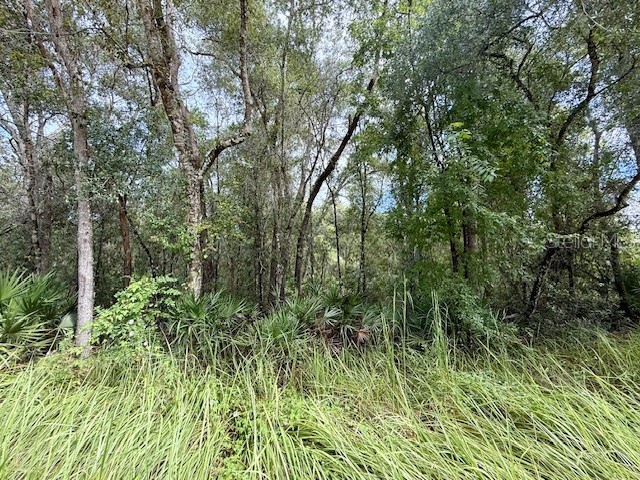 0 Gresham Road Webster FL 33597 W7879404 image18