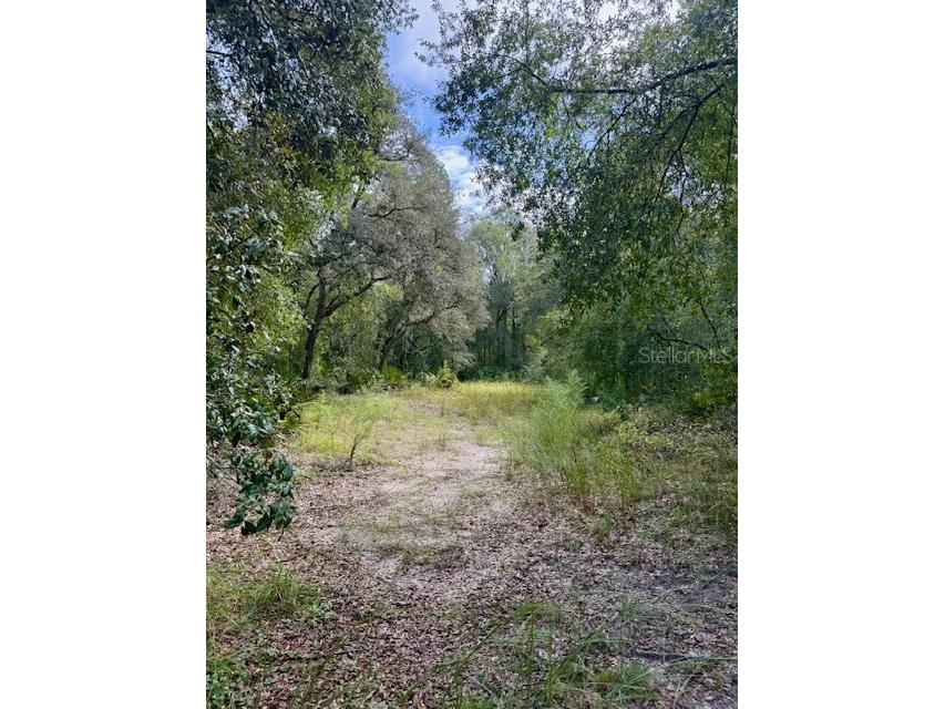 0 Gresham Road Webster FL 33597 W7879404 image2