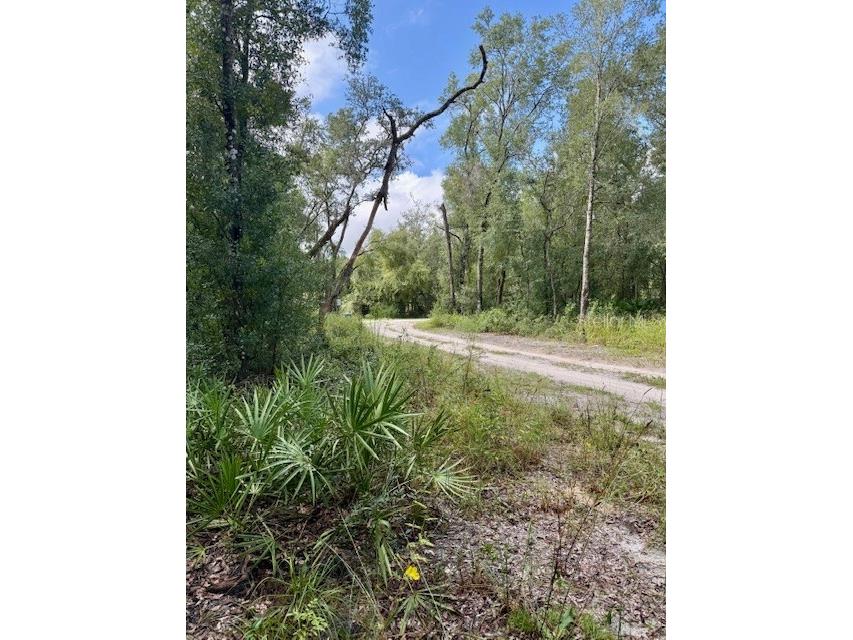 0 Gresham Road Webster FL 33597 W7879404 image3